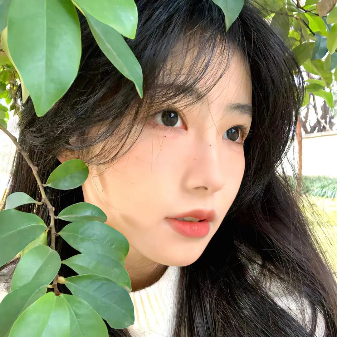 绝种铁金刚